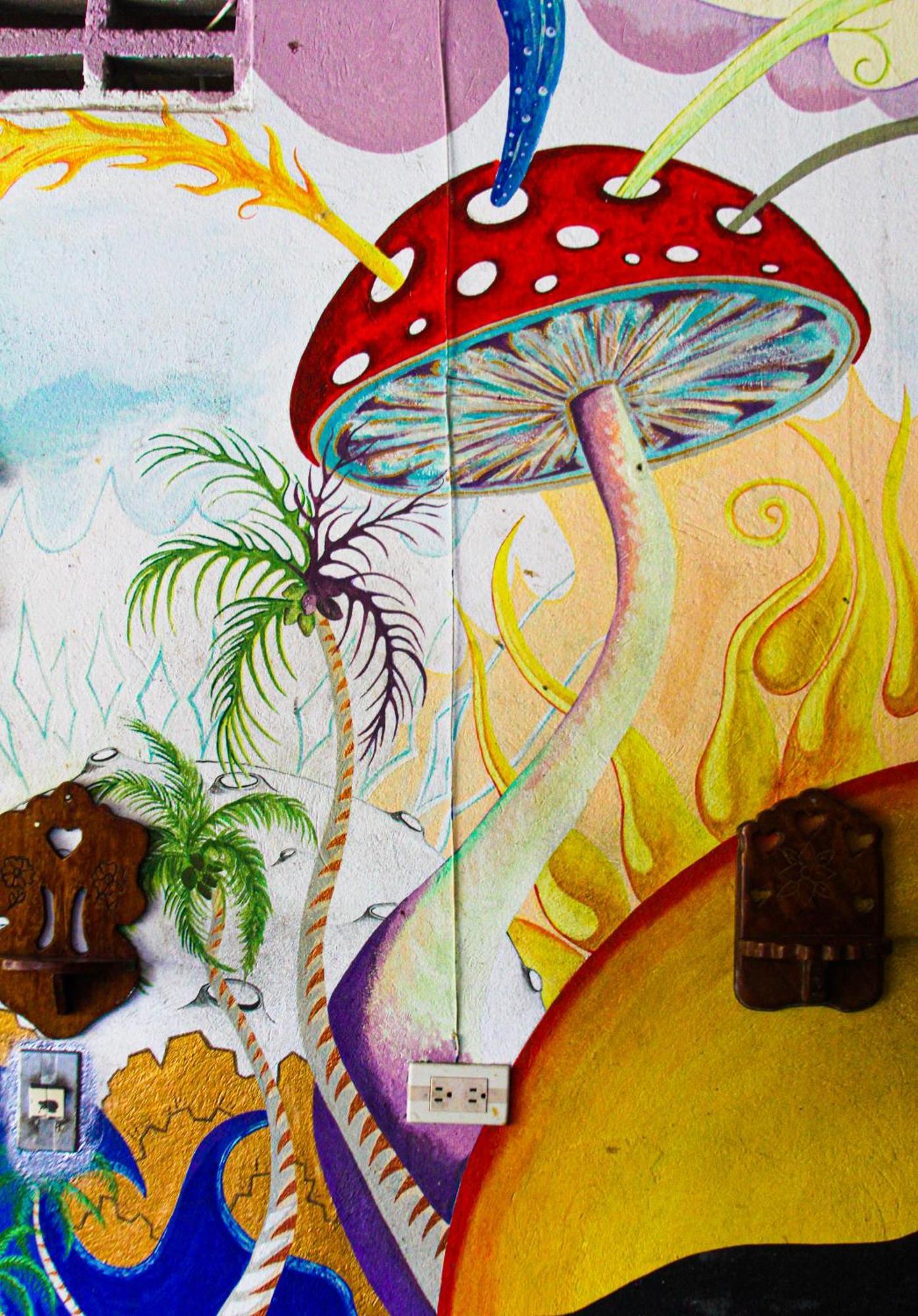 Casa Surf Mar Azul Hotel Palomino Kültér fotó