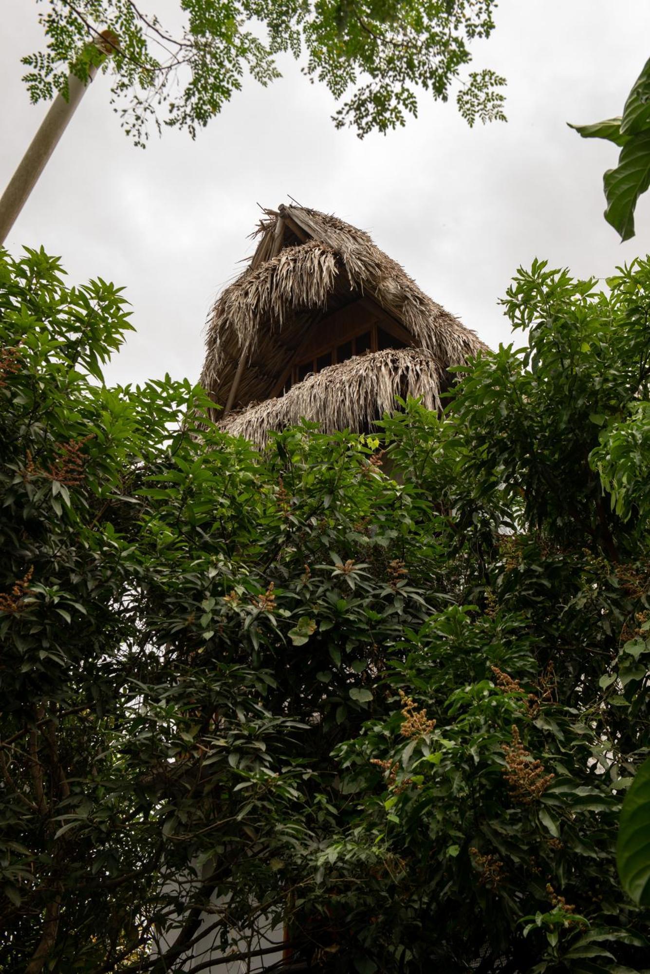 Casa Surf Mar Azul Hotel Palomino Szoba fotó